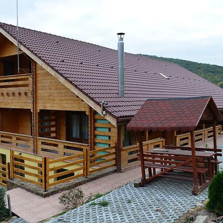 Pensiunea Mihaiu Sasului Vîrciorog Exterior foto