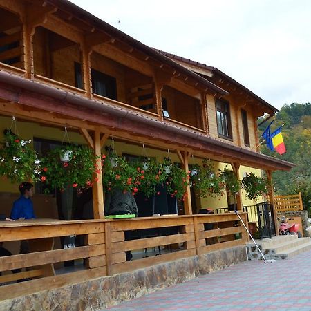 Pensiunea Mihaiu Sasului Vîrciorog Exterior foto